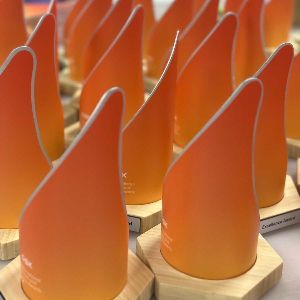 Bespoke Aluminium and Bamboo Awards for GSK